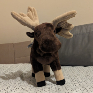 moose plushie