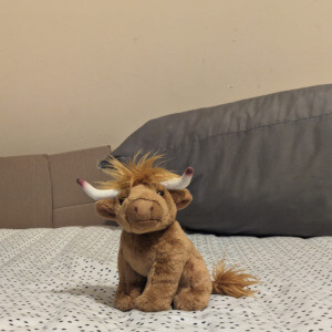 highland coo plushie